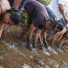 Students working in a taro field